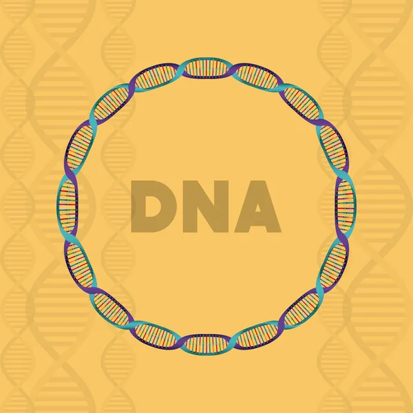 Dna molecule circular structure — Stock Vector