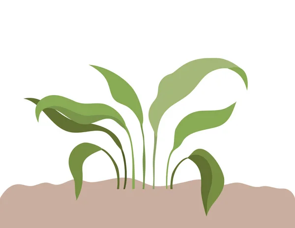 Növény táj izolált ikon — Stock Vector