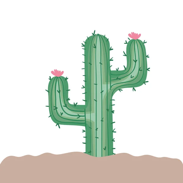 Cactus en el paisaje icono aislado — Vector de stock