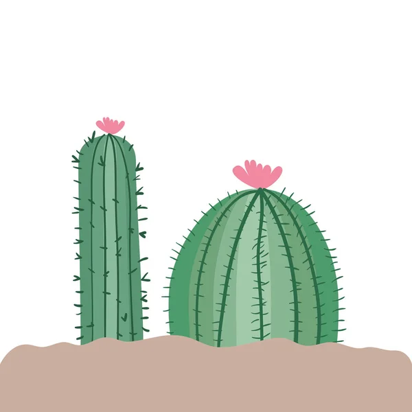 Cactus en el paisaje icono aislado — Vector de stock