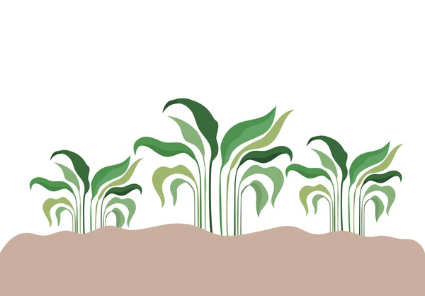 Plant in landscape isolated icon — Stock Vector