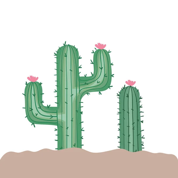 Cactus en el paisaje icono aislado — Vector de stock