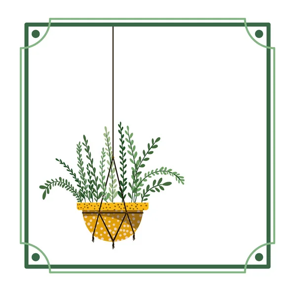 Frame met kamerplant op macrame Hangers — Stockvector