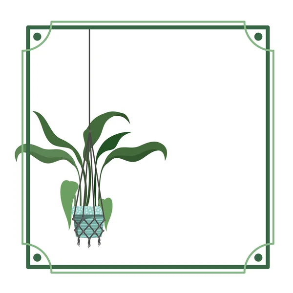 Frame met kamerplant op macrame Hangers — Stockvector