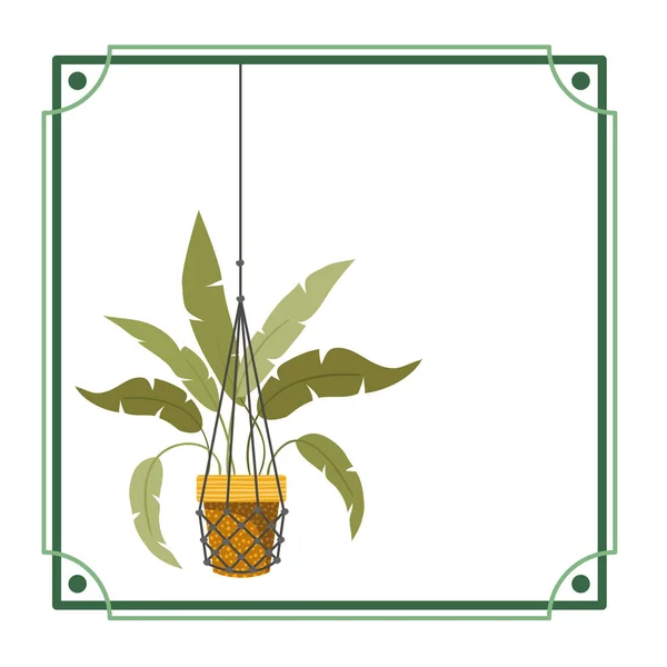 Frame met kamerplant op macrame Hangers — Stockvector