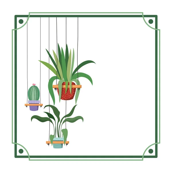 Cadre avec plantes d'intérieur sur cintres macramé — Image vectorielle