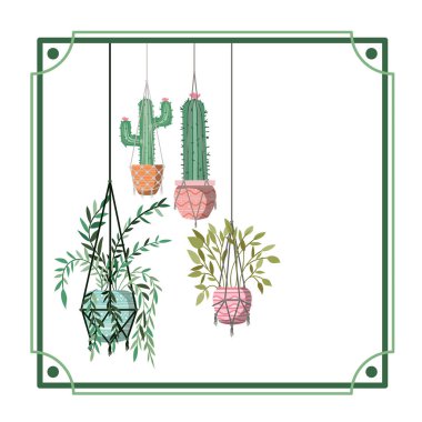 macrame askıları üzerinde houseplants ile çerçeve