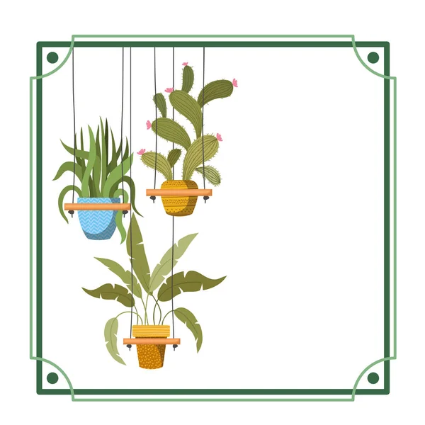 Frame met kamerplanten op macrame Hangers — Stockvector