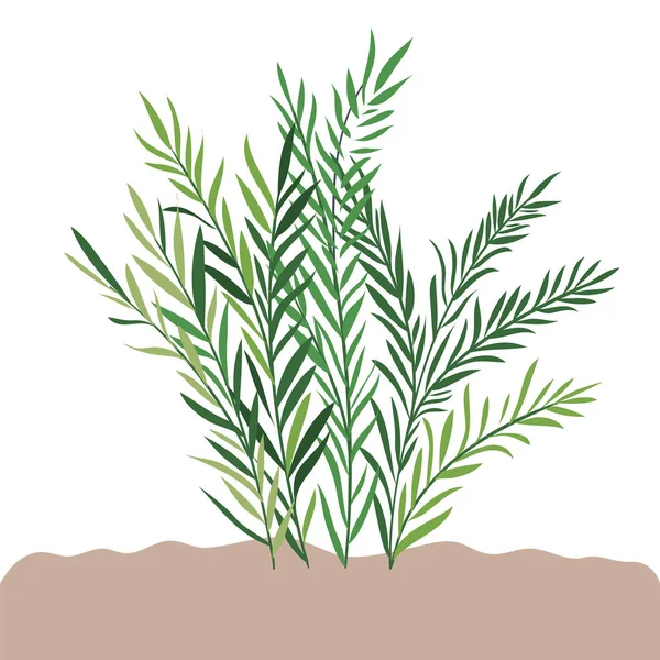 Plant in landschap geïsoleerd icoon — Stockvector