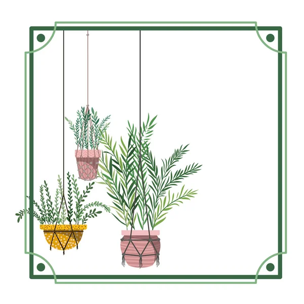 框架与室内植物在麦克拉梅衣架 — 图库矢量图片
