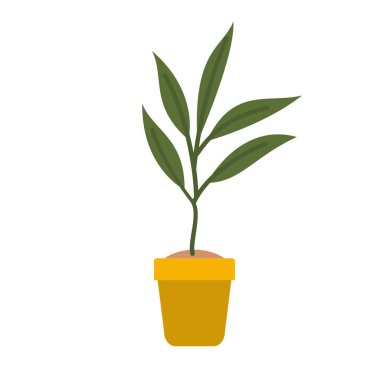 saksı izole simgesi ile houseplant