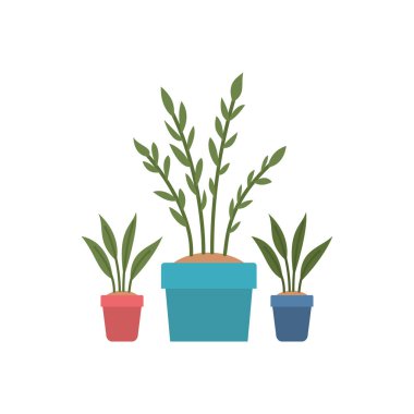 saksı izole simgesi ile houseplant