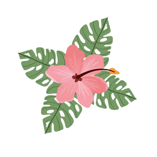 Patrón con flores y hojas de verano — Vector de stock