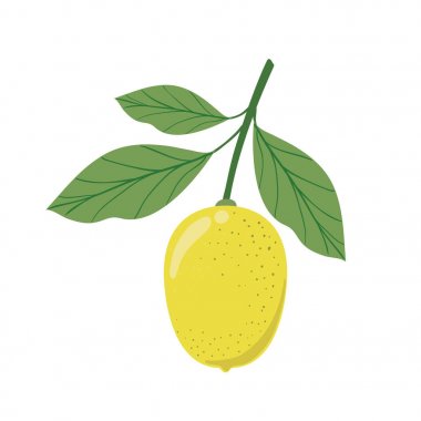 yaprakları izole simgesi ile limon