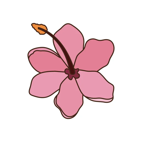 Hermosa flor con hojas en fondo blanco — Vector de stock