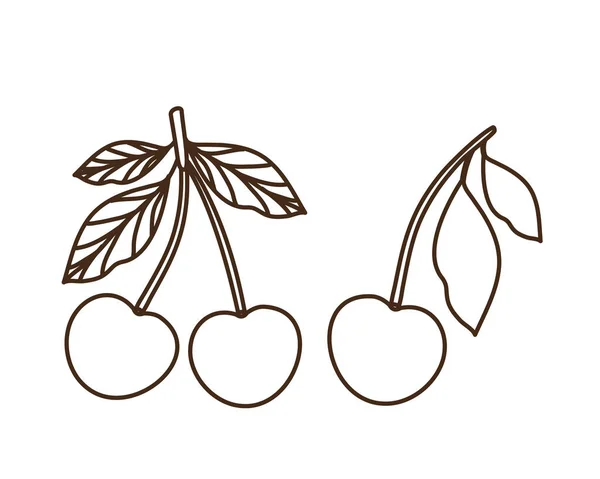 Köstliche Kirsche auf weißem Hintergrund — Stockvektor