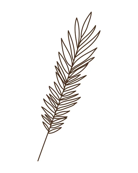 Zweig mit Sommerblatt auf weißem Hintergrund — Stockvektor