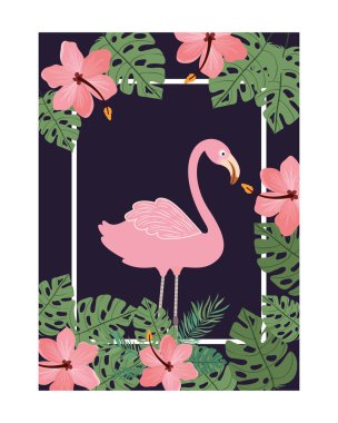 flaman ve yaz çiçek ile çerçeve