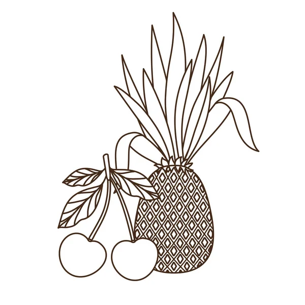 Délicieux fruits tropicaux de l'été sur fond blanc — Image vectorielle