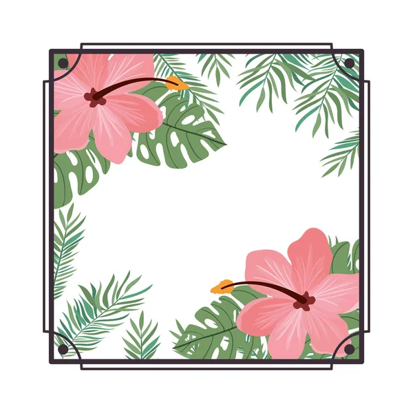 框架与夏天的花和叶 — 图库矢量图片