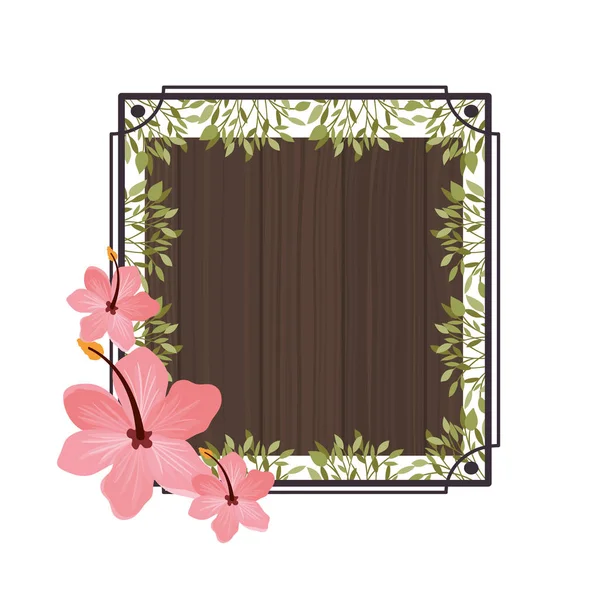 Frame with flower and leafs of summer — Stock Vector