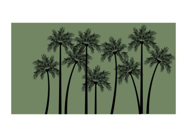 Beyaz arka planda hindistan cevizi olan palmiye ağacı