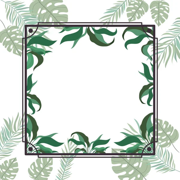 Frame met tak en blad van de zomer — Stockvector