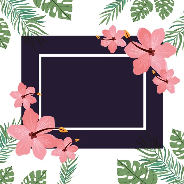 Frame met bloem en blaadjes van de zomer — Stockvector