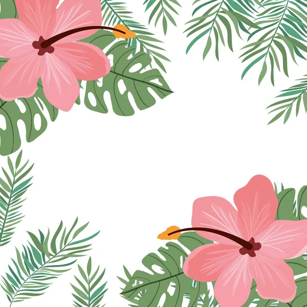 框架与夏天的花和叶 — 图库矢量图片