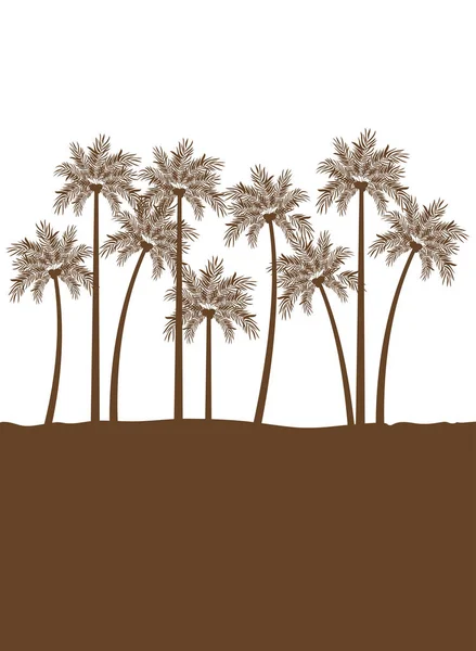 Palme mit Kokosnuss auf weißem Hintergrund — Stockvektor