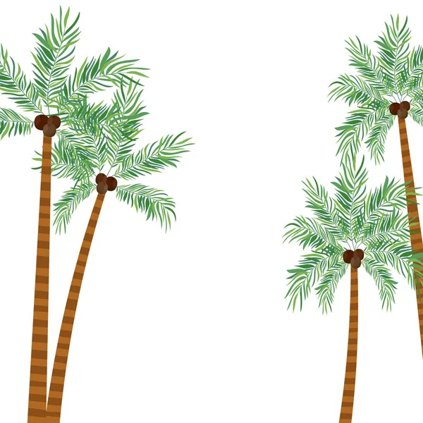 Palmeira com coco em fundo branco — Vetor de Stock