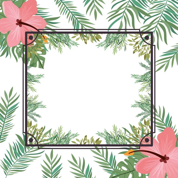 Frame met bloem en blaadjes van de zomer — Stockvector