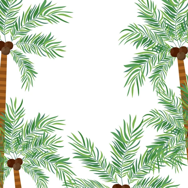 Patrón de palmera con coco en fondo blanco — Vector de stock
