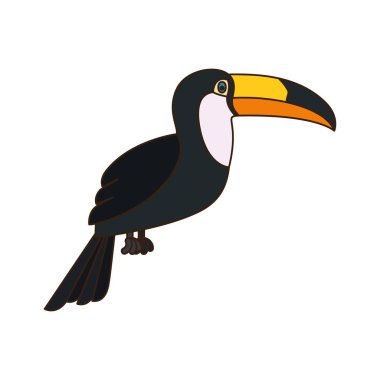 Beyaz arka planda güzel bir tukan