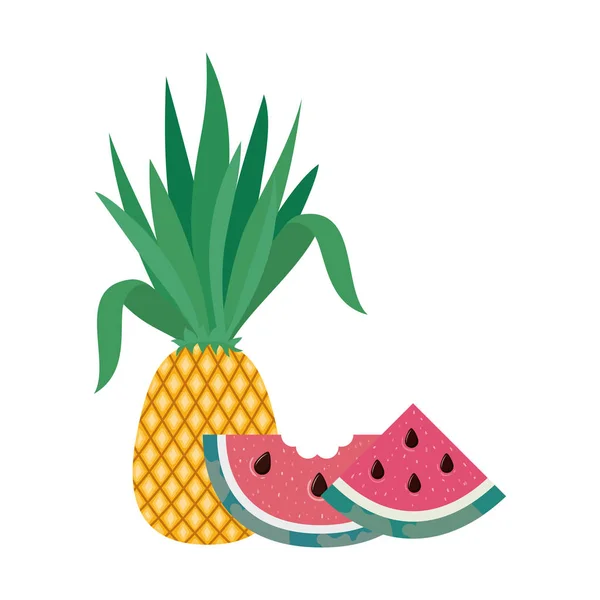 白色背景的夏季美味热带水果 — 图库矢量图片