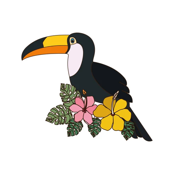 Beau toucan sur fond blanc — Image vectorielle