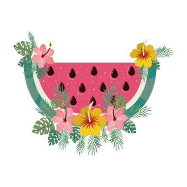 karpuz ve beyaz arka plan kısmı