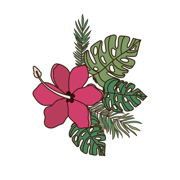 Hermosa flor con hojas en fondo blanco — Vector de stock