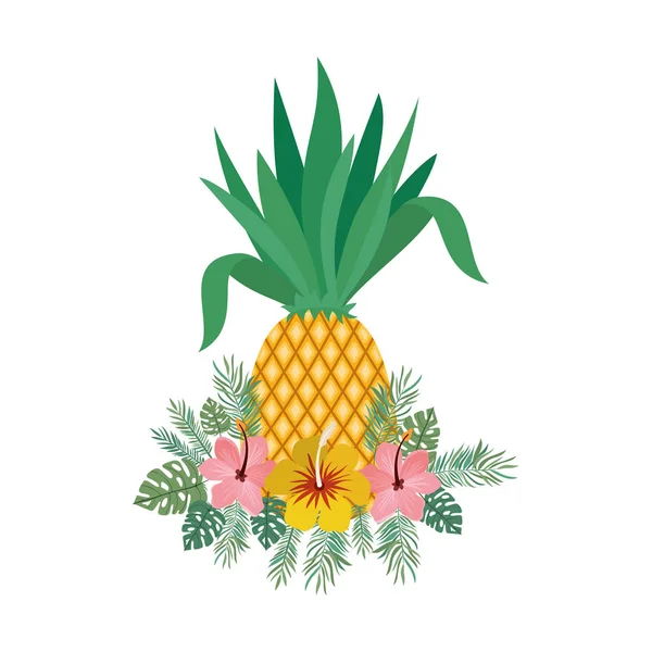 Deliciosas frutas tropicales de verano sobre fondo blanco — Archivo Imágenes Vectoriales