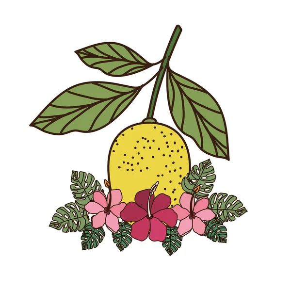 Limão com folhas ícone isolado —  Vetores de Stock