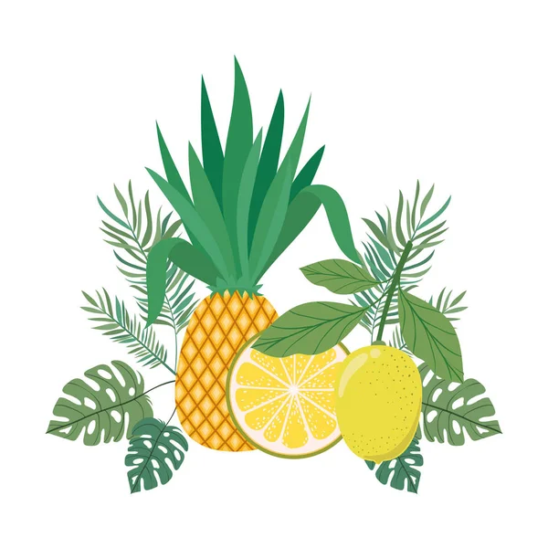 Deliciosas frutas tropicais de verão no fundo branco — Vetor de Stock