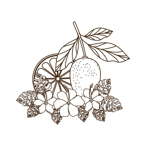 Λεμόνι με φύλλα απομονωμένο εικονίδιο — Διανυσματικό Αρχείο