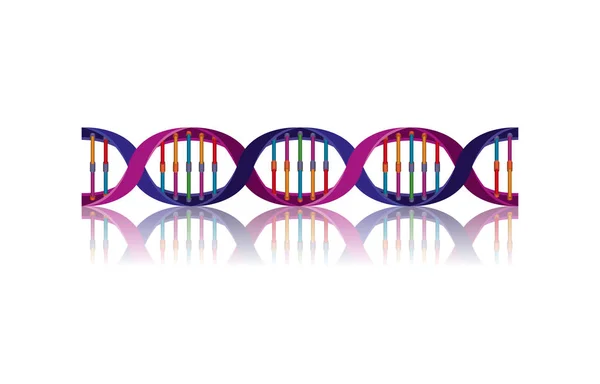 Pozioma łańcuch DNA nauka kolorowy ikona — Wektor stockowy