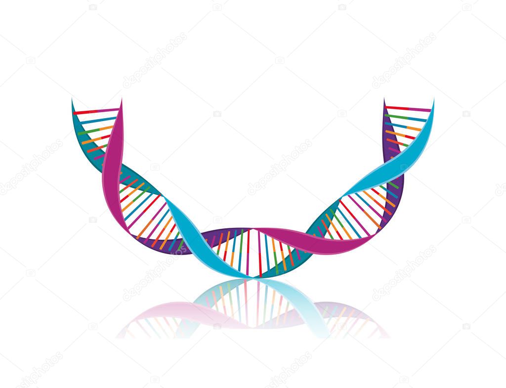 dna chain with curve science colorful icon