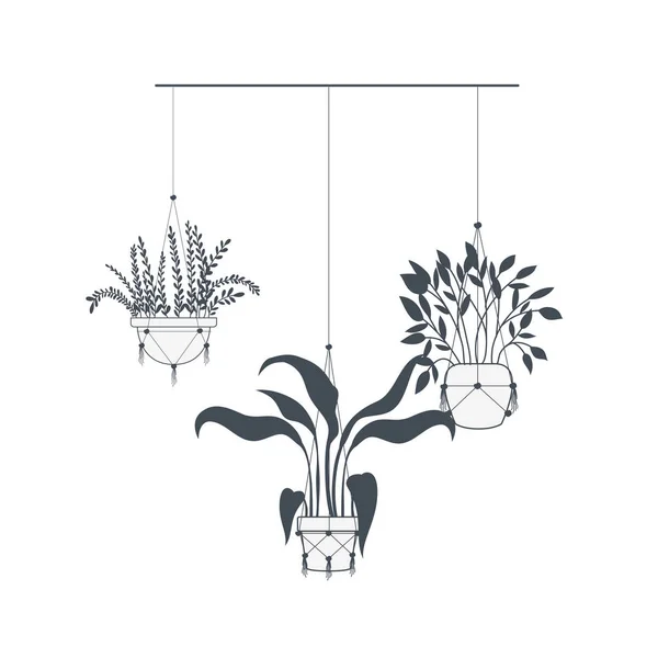 Plantes d'intérieur sur macramé cintres icône — Image vectorielle