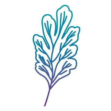 yaprak bitki ekoloji simgesi