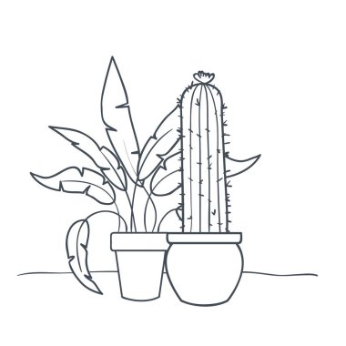 saksı izole simgesi ile houseplants