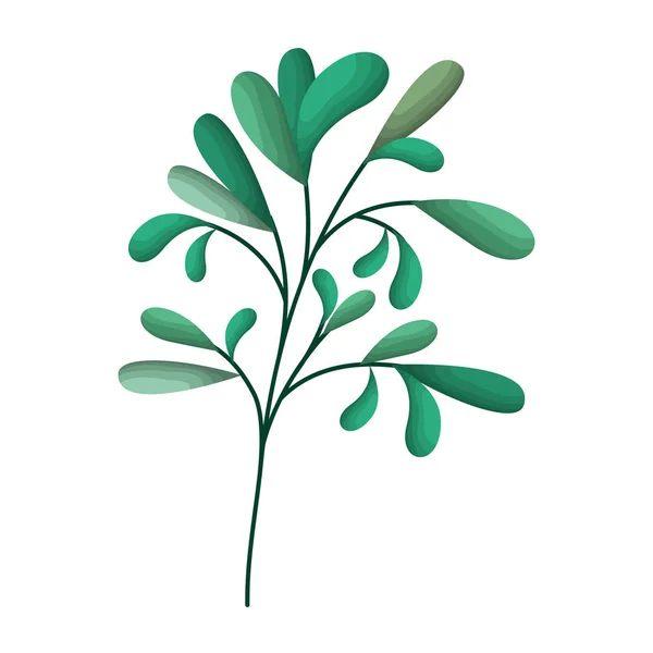 Ветка с изолированной иконкой листьев — стоковый вектор