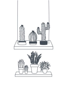 raf izole simgesi üzerinde saksı ile houseplants
