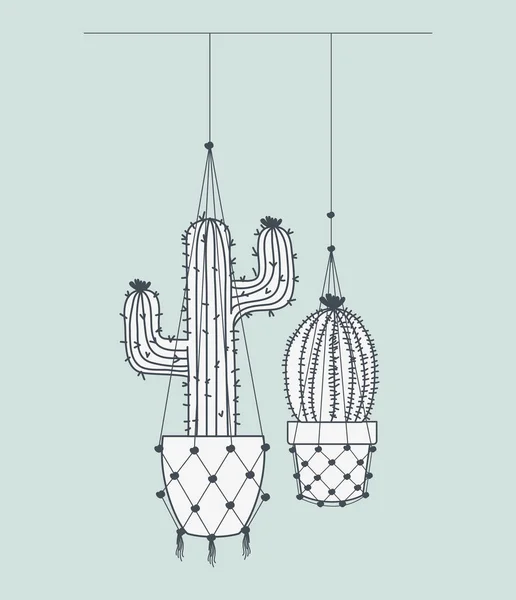 Cactus plantes d'intérieur dans des cintres de macramé — Image vectorielle